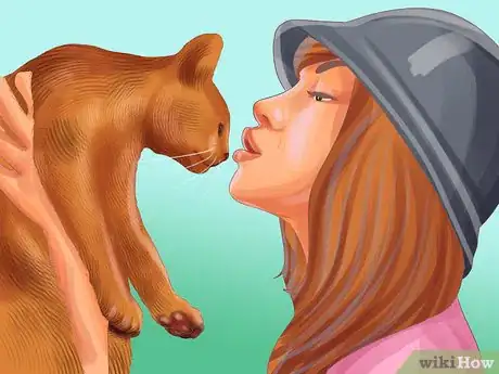 Image titled Identify an Abyssinian Cat Step 7