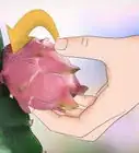 Tell if a Dragon Fruit Is Ripe