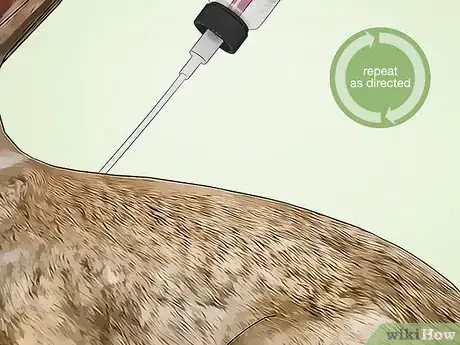 Image titled Get Rid of Mites on Rabbits Step 9