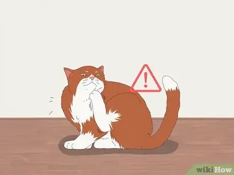 Image titled Get a Cat for a Pet Step 14