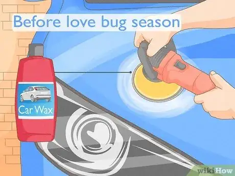 Image titled Get Rid of Love Bugs Step 10