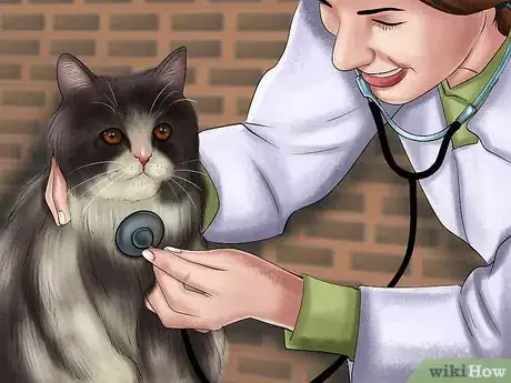 Image titled Help a Cat Recover from Hip Dislocation Surgery Step 11