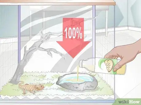 Image titled Teach a Bearded Dragon to Drink from a Water Bowl Step 2