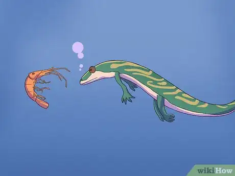 Image titled Feed a Salamander Step 2