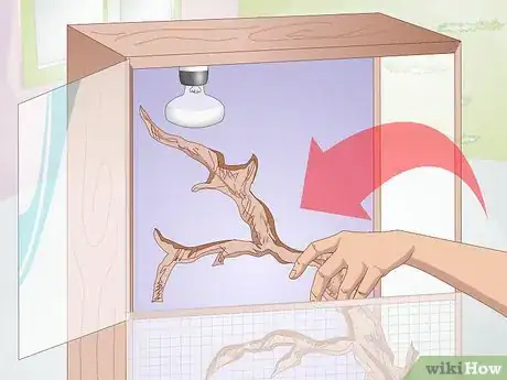 Image titled Build an Iguana Cage Step 12
