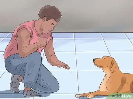 Image titled Teach a Dog to Crawl Step 9