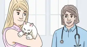 Feed a Diabetic Cat