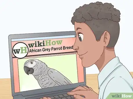 Image titled Choose an African Grey Parrot Step 7