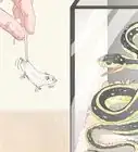 Feed a Snake Frozen Food