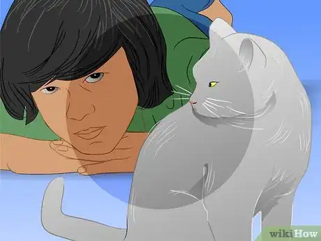 Image titled Care for Physically Abused Cats Step 15