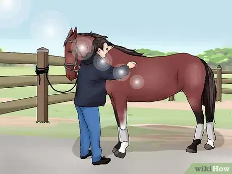 Image titled Pick a Horse Hoof Step 2
