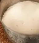 Bloom Yeast