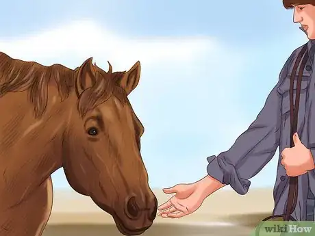 Image titled Hand Feed a Horse Step 2