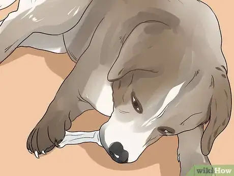 Image titled Make a Raw Food Diet for Dogs Step 10