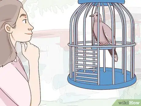 Image titled Choose Pet Doves Step 10