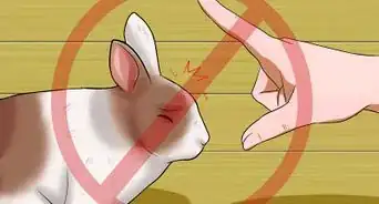 Teach Your Rabbit to Jump over Something