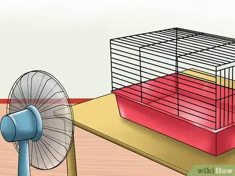Image titled Diagnose Heatstroke in Guinea Pigs Step 9