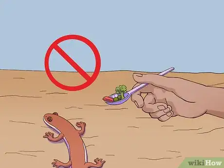Image titled Feed a Salamander Step 6