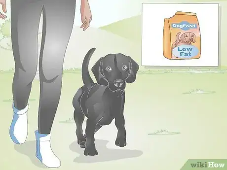 Image titled Take a Dog's Blood Pressure Step 11