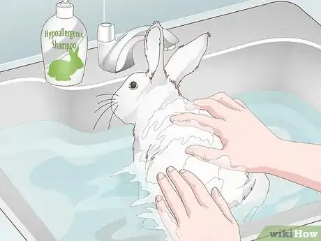 Image titled Keep a Rabbit Clean Step 11