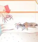 Care for a Crab