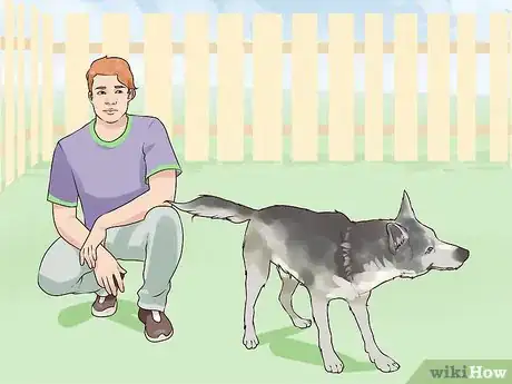 Image titled Gain Trust in an Aggressive Dog Step 12