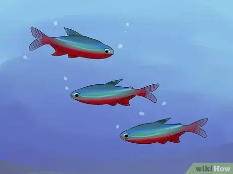 Image titled Help a Betta Fish Live Longer Step 11