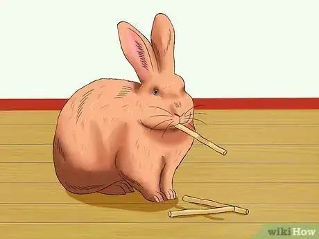Image titled Train a Rabbit to Stop Chewing Carpet Step 8