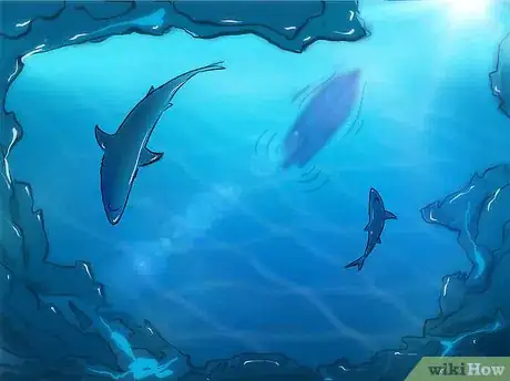 Image titled Fish for Shark Step 9