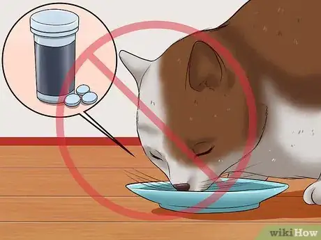 Image titled Give a Cat a Pill Step 3