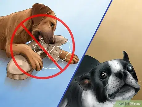 Image titled Give Your Dog Healthy Attention Step 12