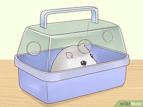 Image titled Care for Winter White Dwarf Hamsters Step 22