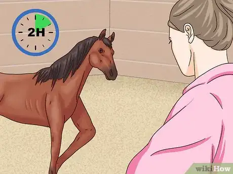 Image titled Cure Colic in Horses and Ponies Step 12