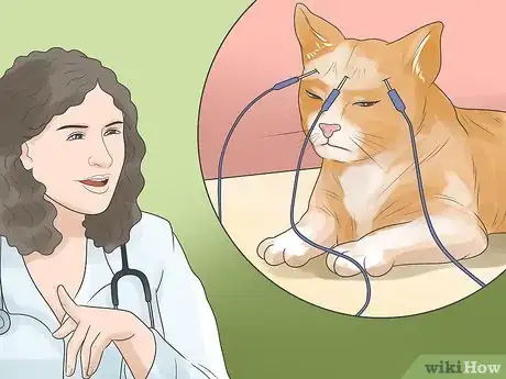Image titled Tell if Your Cat Is Deaf Step 5
