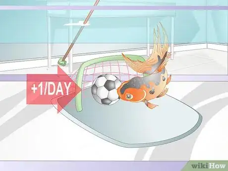 Image titled Play With a Goldfish Step 6