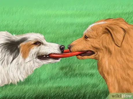 Image titled Socialize a Dog with Other Dogs Step 12