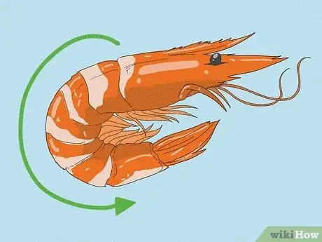 Image titled Tell if Shrimp Is Cooked Step 3