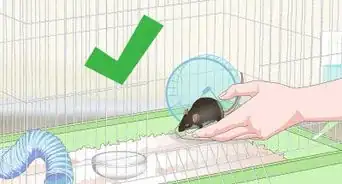 Clean a Mouse Cage