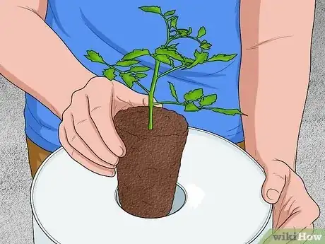 Image titled Make an Upside Down Tomato Planter Step 3