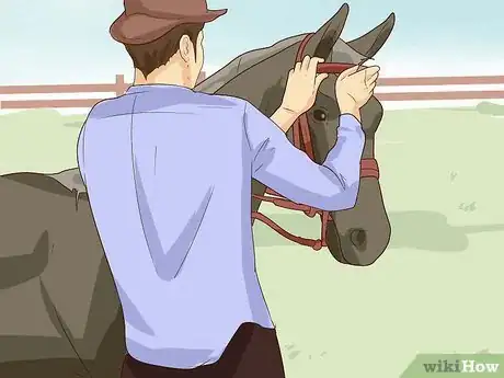 Image titled Break a Horse Step 10