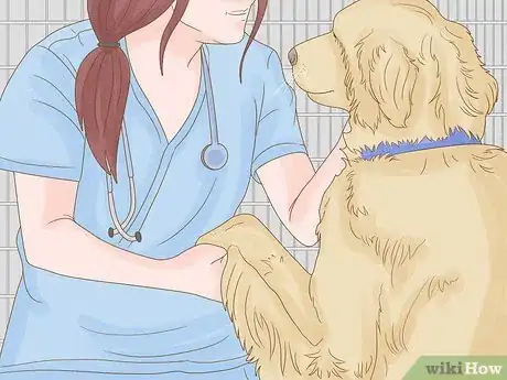 Image titled Stop a Dog from Humping Step 16
