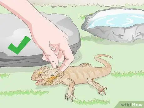 Image titled Pet a Bearded Dragon Step 11