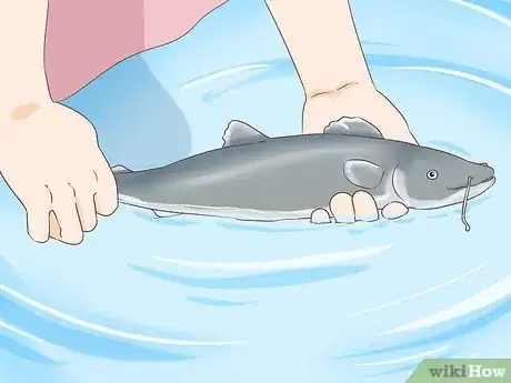 Image titled Hold a Catfish Step 7