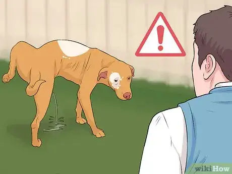 Image titled Tell if a Dog Is Going to Attack Step 11