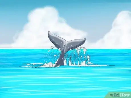 Image titled Why Do Whales Breach Step 8