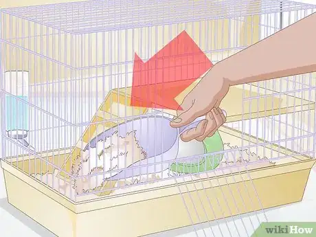 Image titled Prepare for a Pet Hamster for the First Time Step 7