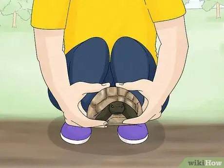 Image titled Handle a Tortoise Step 4