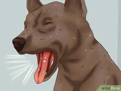 Image titled Treat Worms in Dogs Step 4