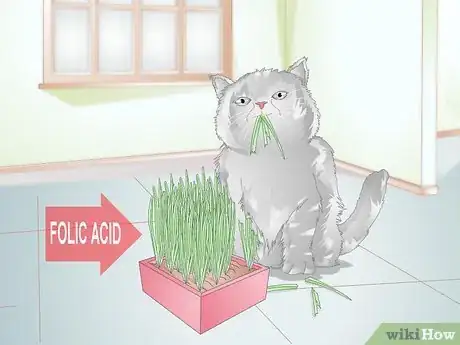 Image titled Stop Your Cat from Eating Grass Step 10