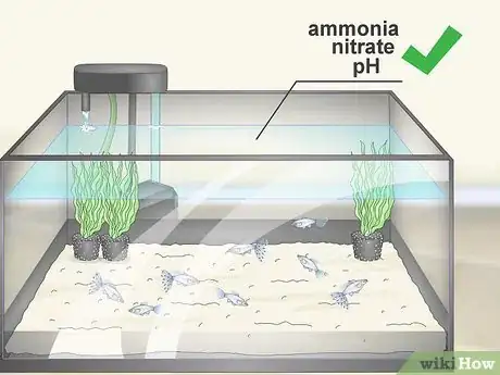 Image titled Test the Water in an Aquarium Step 1